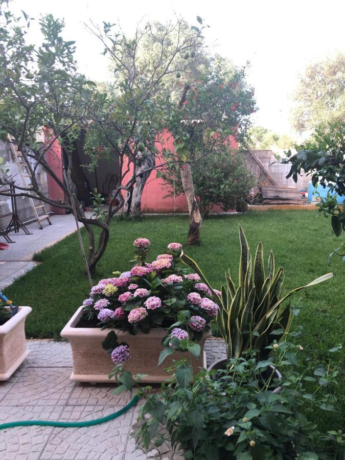 Apartamento Paese Museo San Sperate Exterior foto